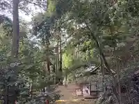 八幡神社(京都府)