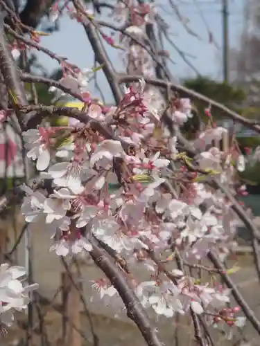 白旗神社(神奈川県)