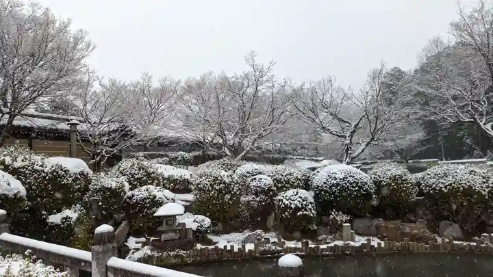 妙満寺(京都府)