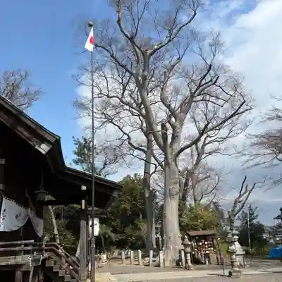日吉神社(福島県)