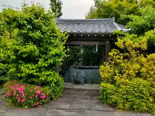 大学院の手水舎