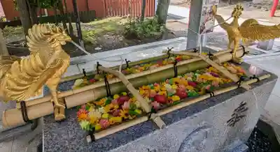 富岡八幡宮(東京都)