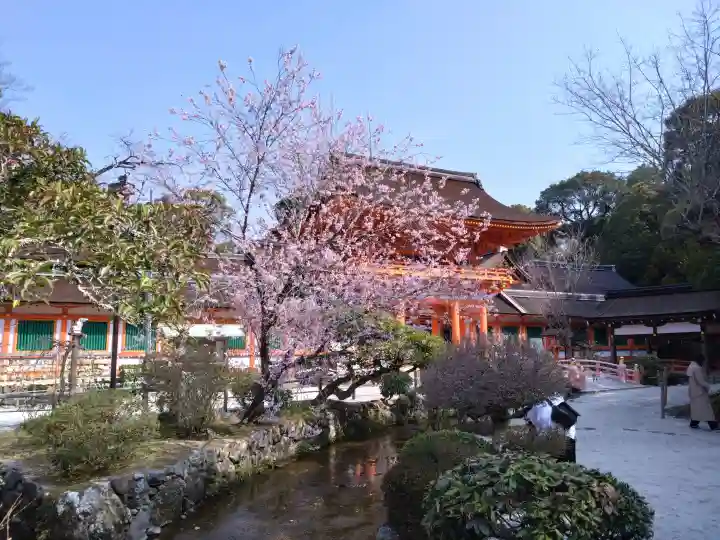 賀茂別雷神社(上賀茂神社)の{uncategorized: "未分類", other: "その他", undefined: "問題あり", building: "その他建物", grave: "お墓", sacred_gate: "鳥居", guardian: "狛犬", statue: "像", buddha: "仏像", history: "歴史", nature: "自然", garden: "庭園", animal: "動物", pagoda: "塔", temizu: "手水舎", mountain_gate: "山門・神門", sanctuary: "本殿・本堂", subordinate: "末社・摂社", art: "芸術", scenery: "景色", jizo: "地蔵", ema: "絵馬", goshuin: "御朱印", omikuji: "おみくじ", items: "授与品その他", amulet: "お守り", goshuincho: "御朱印帳", eats: "食事", festival: "お祭り", votive_dance: "神楽", shichigosan: "七五三参", wedding: "結婚式", experience: "体験その他", initially: "初詣", around: "周辺", anti_infection: "感染症対策"}