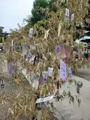 浅草神社(東京都)