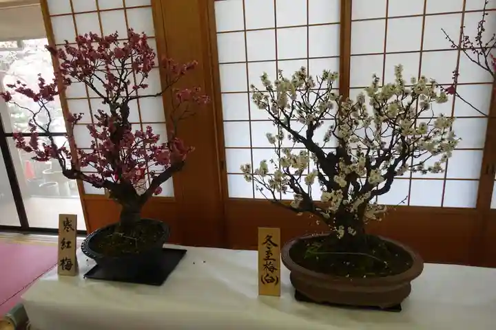 菅原天満宮(菅原神社)の自然