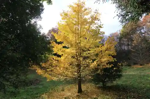 鹿島大神宮の自然