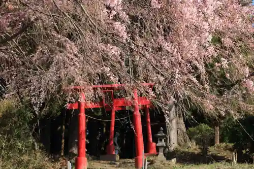 正一位稲荷大明神の鳥居