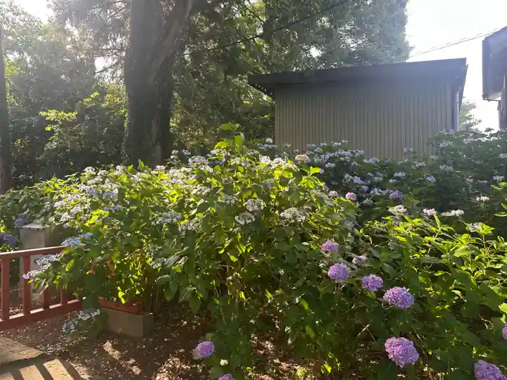 仙波東照宮(埼玉県)