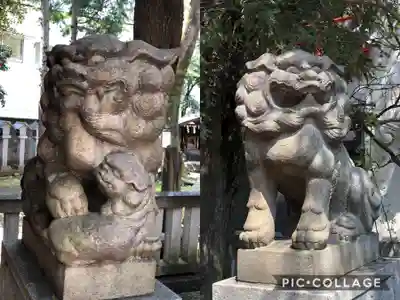 くまくま神社(導きの社 熊野町熊野神社)の狛犬