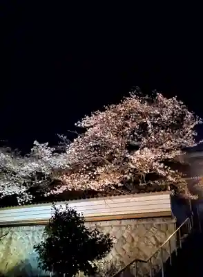 如宝寺(福島県)