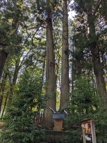 都々古別神社(八槻)(福島県)