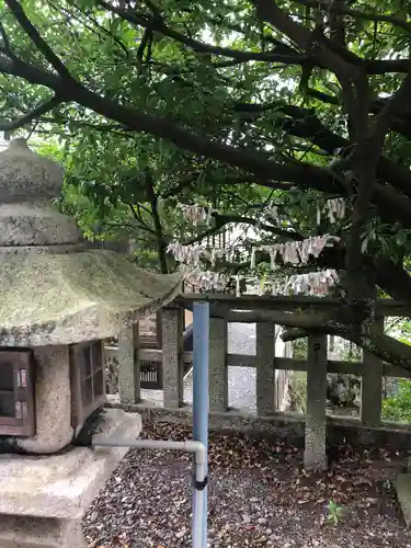宇波西神社(福井県)