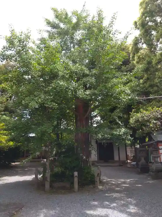 薬園八幡神社(奈良県)