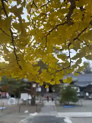 誕生寺(岡山県)