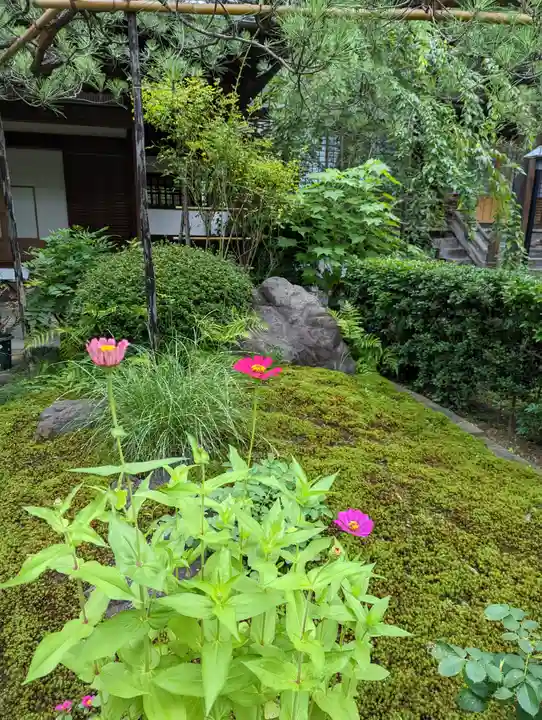 佛陀寺(京都府)