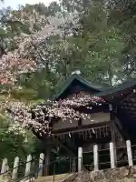 吉田神社(京都府)