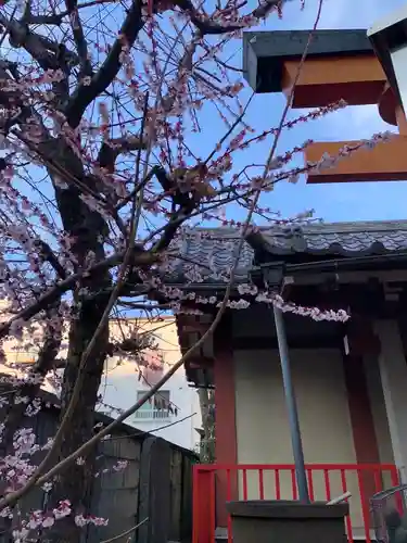 佐賀稲荷神社の自然