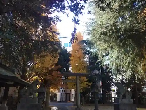 青山熊野神社(東京都)