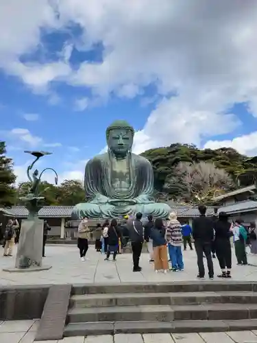 高徳院(神奈川県)