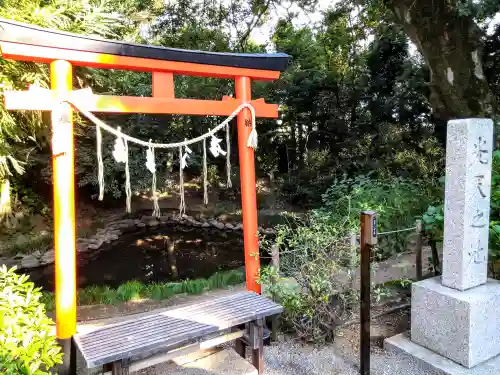 鷲宮神社(埼玉県)