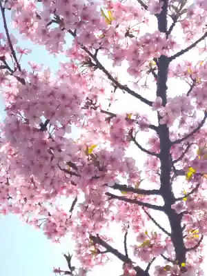 大己貴神社の自然