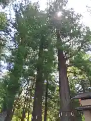 河口浅間神社(山梨県)