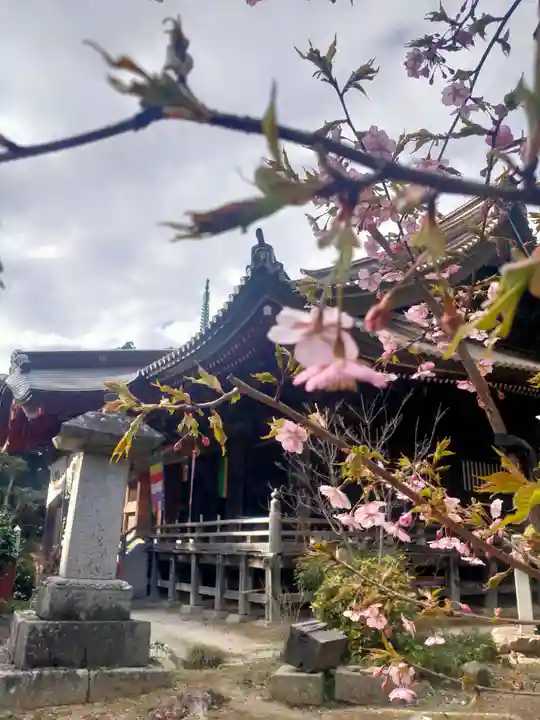 椎尾山薬王院(茨城県)