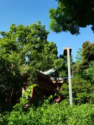 中野氷川神社の本殿・本堂