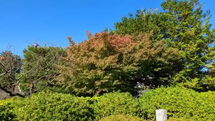 隨心院(随心院)の自然