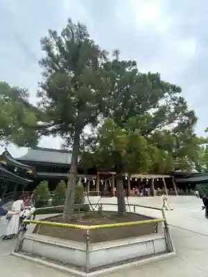 寒川神社の{uncategorized: "未分類", other: "その他", undefined: "問題あり", building: "その他建物", grave: "お墓", sacred_gate: "鳥居", guardian: "狛犬", statue: "像", buddha: "仏像", history: "歴史", nature: "自然", garden: "庭園", animal: "動物", pagoda: "塔", temizu: "手水舎", mountain_gate: "山門・神門", sanctuary: "本殿・本堂", subordinate: "末社・摂社", art: "芸術", scenery: "景色", jizo: "地蔵", ema: "絵馬", goshuin: "御朱印", omikuji: "おみくじ", items: "授与品その他", amulet: "お守り", goshuincho: "御朱印帳", eats: "食事", festival: "お祭り", votive_dance: "神楽", shichigosan: "七五三参", wedding: "結婚式", experience: "体験その他", initially: "初詣", around: "周辺", anti_infection: "感染症対策"}