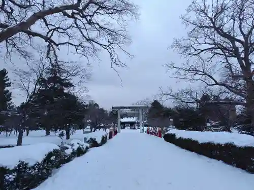 札幌護國神社の鳥居