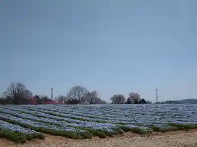 巳徳神社の周辺