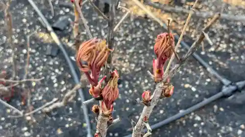 少林寺(埼玉県)