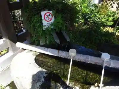 妙蓮寺の手水舎