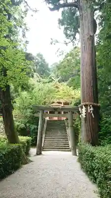 高鴨神社の鳥居