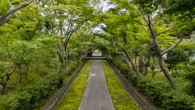 富士山東口本宮 冨士浅間神社の{uncategorized: "未分類", other: "その他", undefined: "問題あり", building: "その他建物", grave: "お墓", sacred_gate: "鳥居", guardian: "狛犬", statue: "像", buddha: "仏像", history: "歴史", nature: "自然", garden: "庭園", animal: "動物", pagoda: "塔", temizu: "手水舎", mountain_gate: "山門・神門", sanctuary: "本殿・本堂", subordinate: "末社・摂社", art: "芸術", scenery: "景色", jizo: "地蔵", ema: "絵馬", goshuin: "御朱印", omikuji: "おみくじ", items: "授与品その他", amulet: "お守り", goshuincho: "御朱印帳", eats: "食事", festival: "お祭り", votive_dance: "神楽", shichigosan: "七五三参", wedding: "結婚式", experience: "体験その他", initially: "初詣", around: "周辺", anti_infection: "感染症対策"}