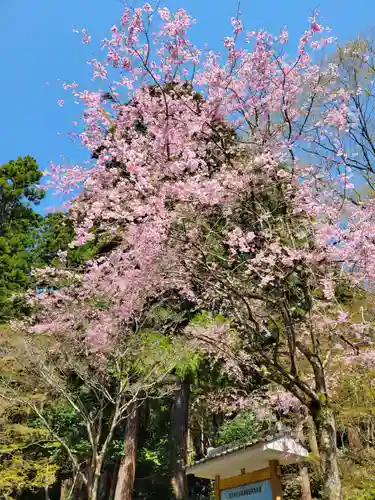 百済寺(滋賀県)