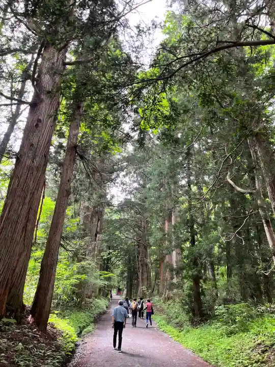 戸隠神社奥社(長野県)