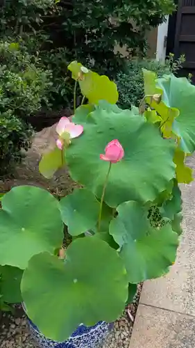 大覚寺(兵庫県)