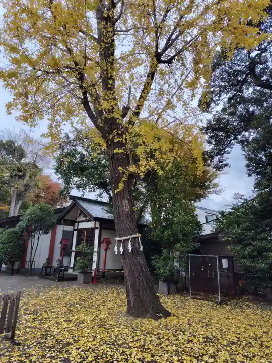 前川神社(埼玉県)