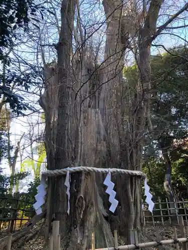 大國魂神社(東京都)