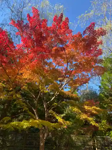 明王院(和歌山県)