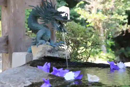 鹿島大神宮の手水