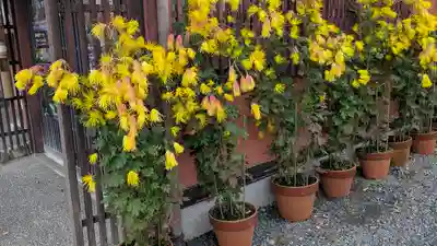 三千院門跡(京都府)