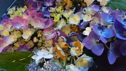 柳津虚空蔵尊 寳性院の手水舎