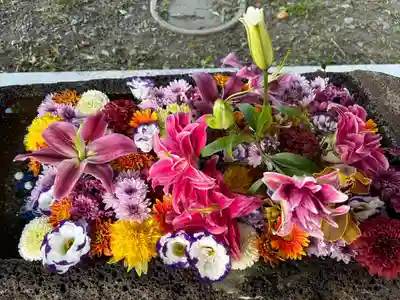 帯広三吉神社の手水舎