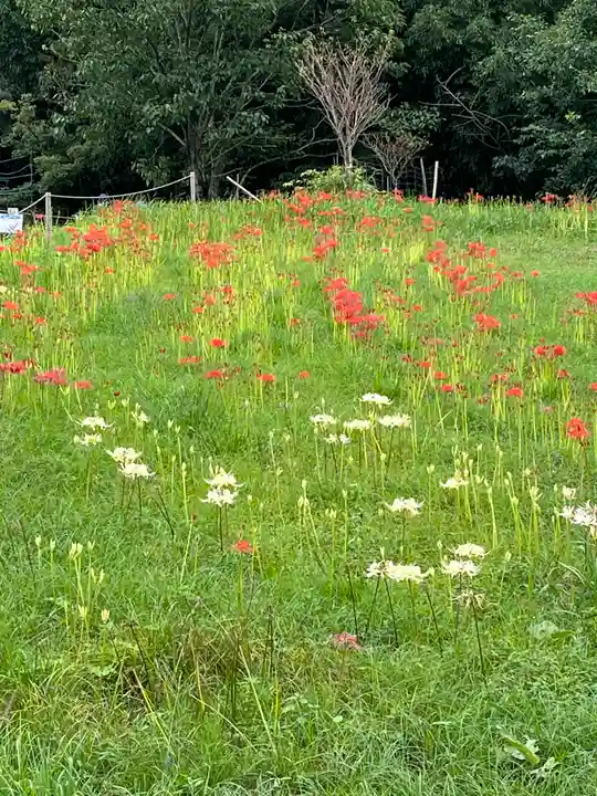 宝城坊(神奈川県)