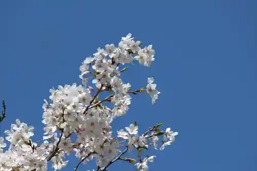 国宝 大法寺の自然