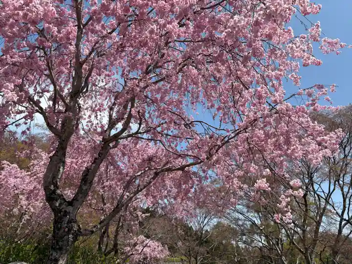 勝尾寺(大阪府)