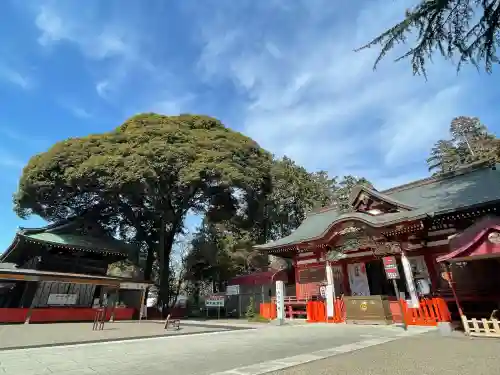 大前恵比寿神社の{uncategorized: "未分類", other: "その他", undefined: "問題あり", building: "その他建物", grave: "お墓", sacred_gate: "鳥居", guardian: "狛犬", statue: "像", buddha: "仏像", history: "歴史", nature: "自然", garden: "庭園", animal: "動物", pagoda: "塔", temizu: "手水舎", mountain_gate: "山門・神門", sanctuary: "本殿・本堂", subordinate: "末社・摂社", art: "芸術", scenery: "景色", jizo: "地蔵", ema: "絵馬", goshuin: "御朱印", omikuji: "おみくじ", items: "授与品その他", amulet: "お守り", goshuincho: "御朱印帳", eats: "食事", festival: "お祭り", votive_dance: "神楽", shichigosan: "七五三参", wedding: "結婚式", experience: "体験その他", initially: "初詣", around: "周辺", anti_infection: "感染症対策"}